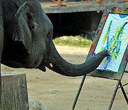 painting elephant